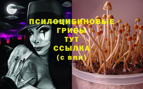 мет Лагань