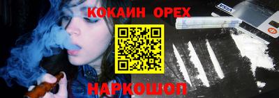 ГАЛЛЮЦИНОГЕННЫЕ ГРИБЫ Кингисепп