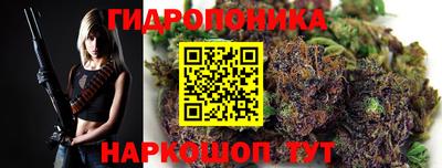 ГАЛЛЮЦИНОГЕННЫЕ ГРИБЫ Кинель