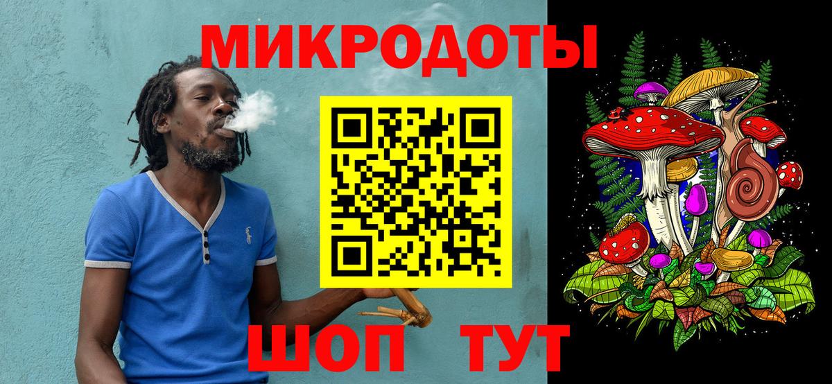 Псилоцибиновые грибы Psilocybine cubensis Черкесск