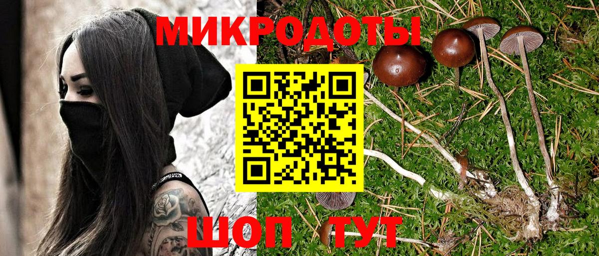 Галлюциногенные грибы ЛСД  Вход с VPN  Черкесск  Галлюциногенные грибы Psilocybe 